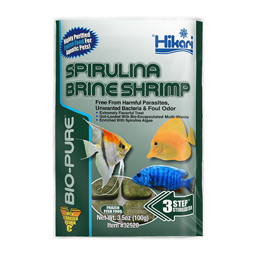 spirulina brine shrimp